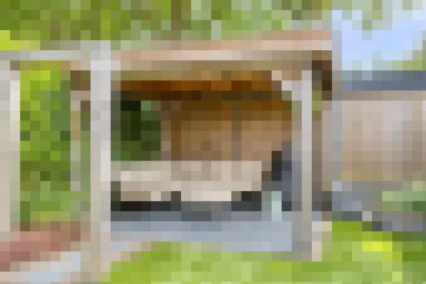 Engelwortel 44 Oldenzaal thumbnail 25