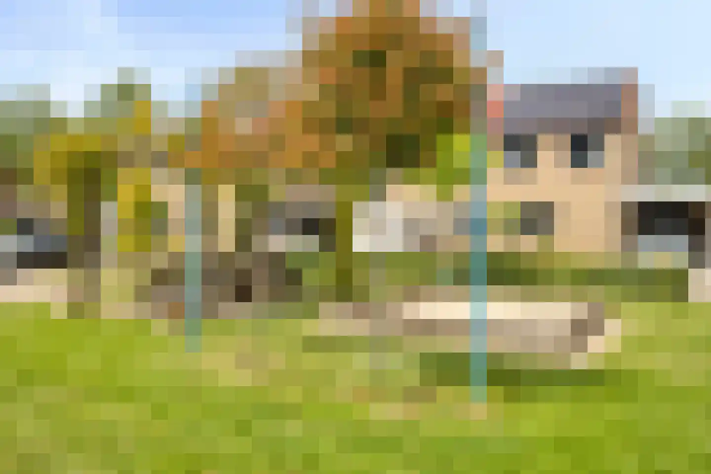 Engelwortel 44 Oldenzaal thumbnail 29