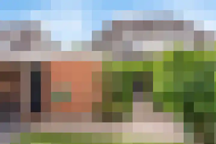 Engelwortel 5 Nijverdal thumbnail 13