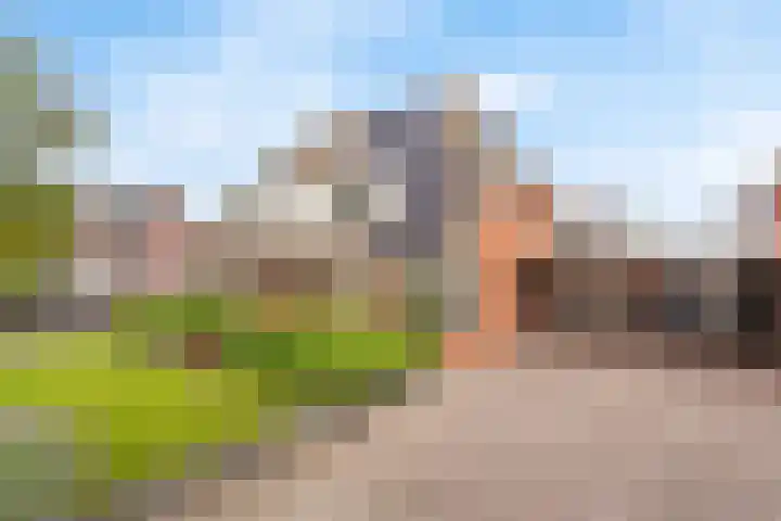 Engelwortel 5 Nijverdal thumbnail 16