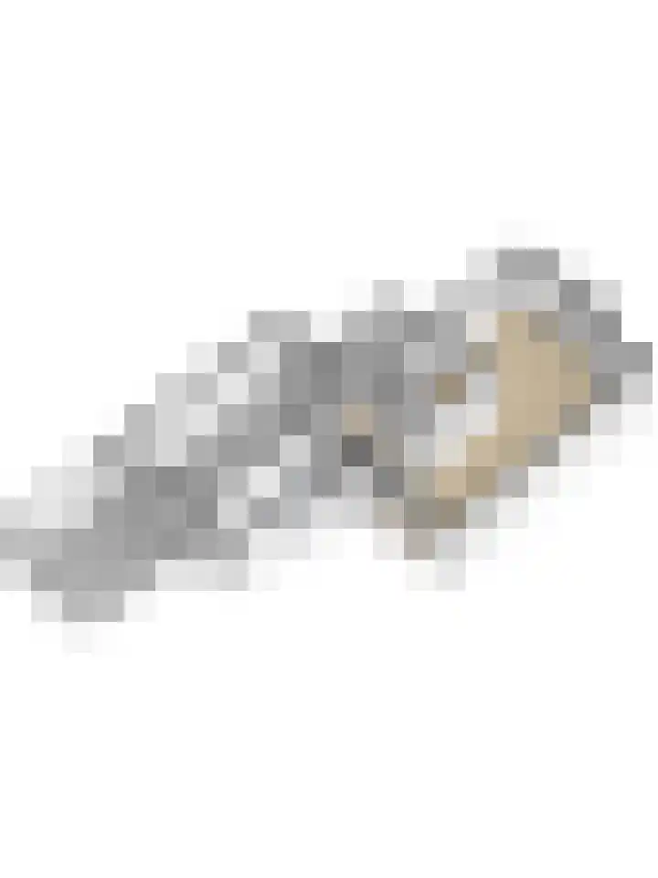 Engelwortel 5 Nijverdal thumbnail 18