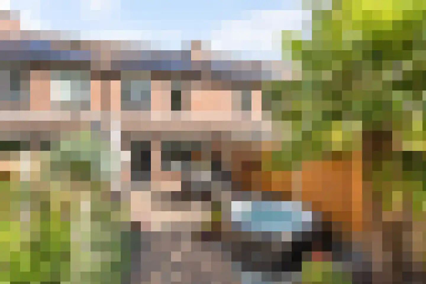 Engelwortel 60 Oldenzaal thumbnail 16