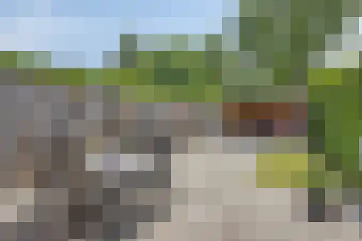 Engelwortel 64 Oldenzaal thumbnail 25
