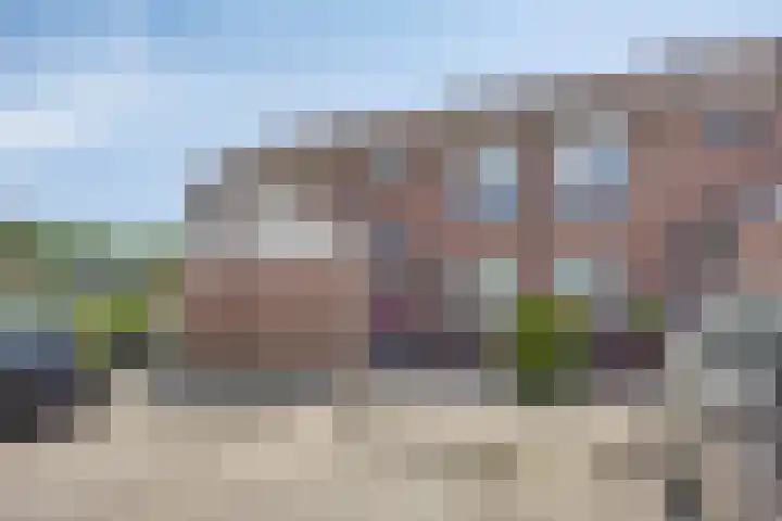 Engelwortel 64 Oldenzaal thumbnail 27