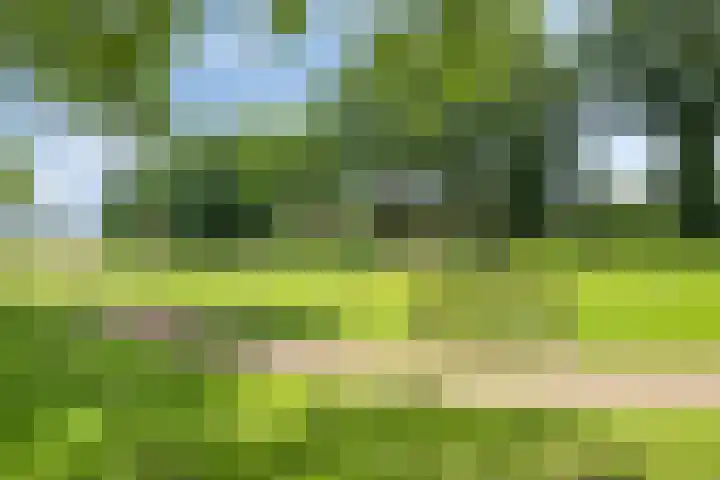 Engelwortel 64 Oldenzaal thumbnail 30