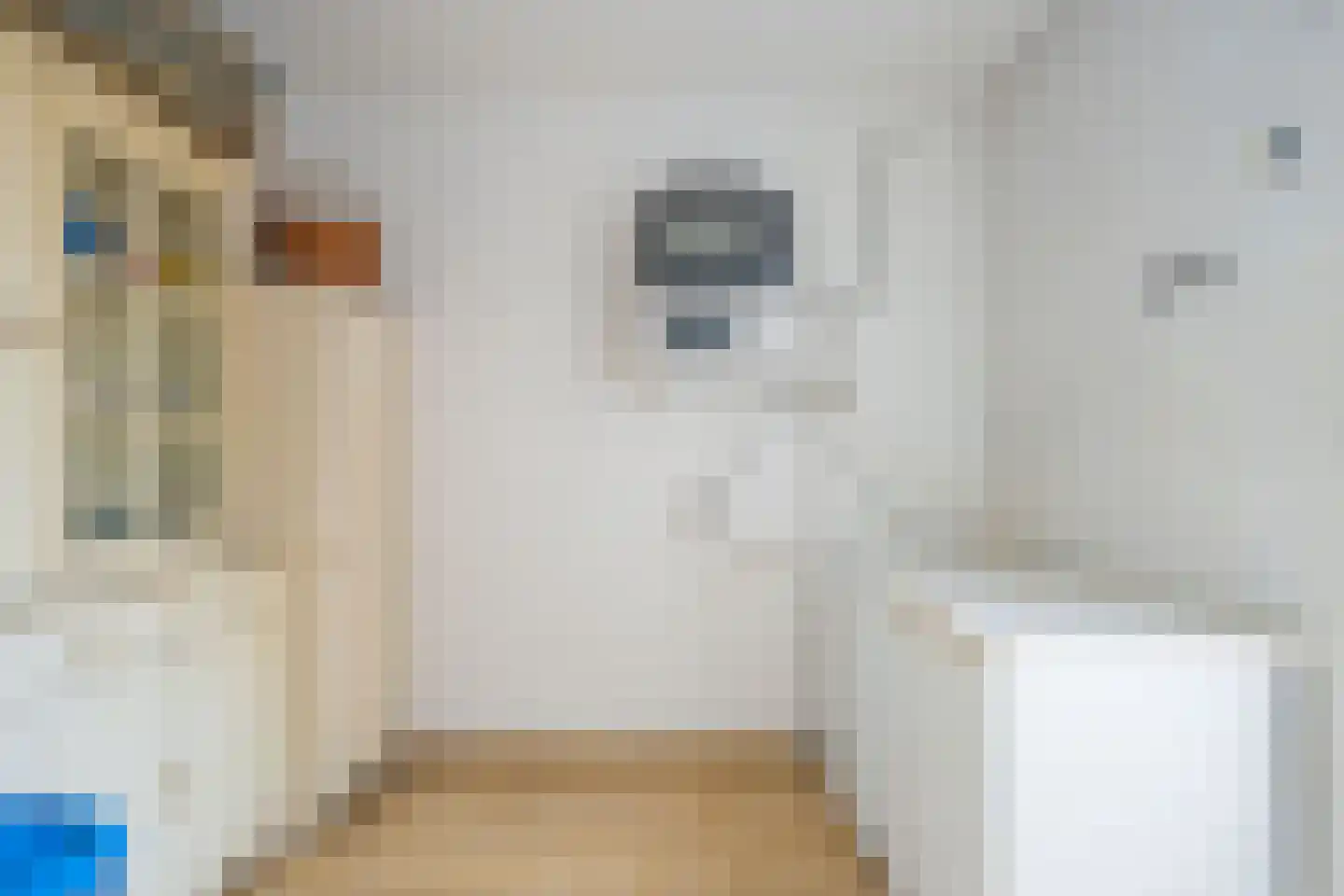 Engerstraat 12 Tegelen thumbnail 14