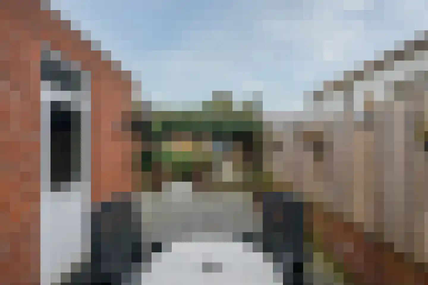 Engerstraat 12 Tegelen thumbnail 26