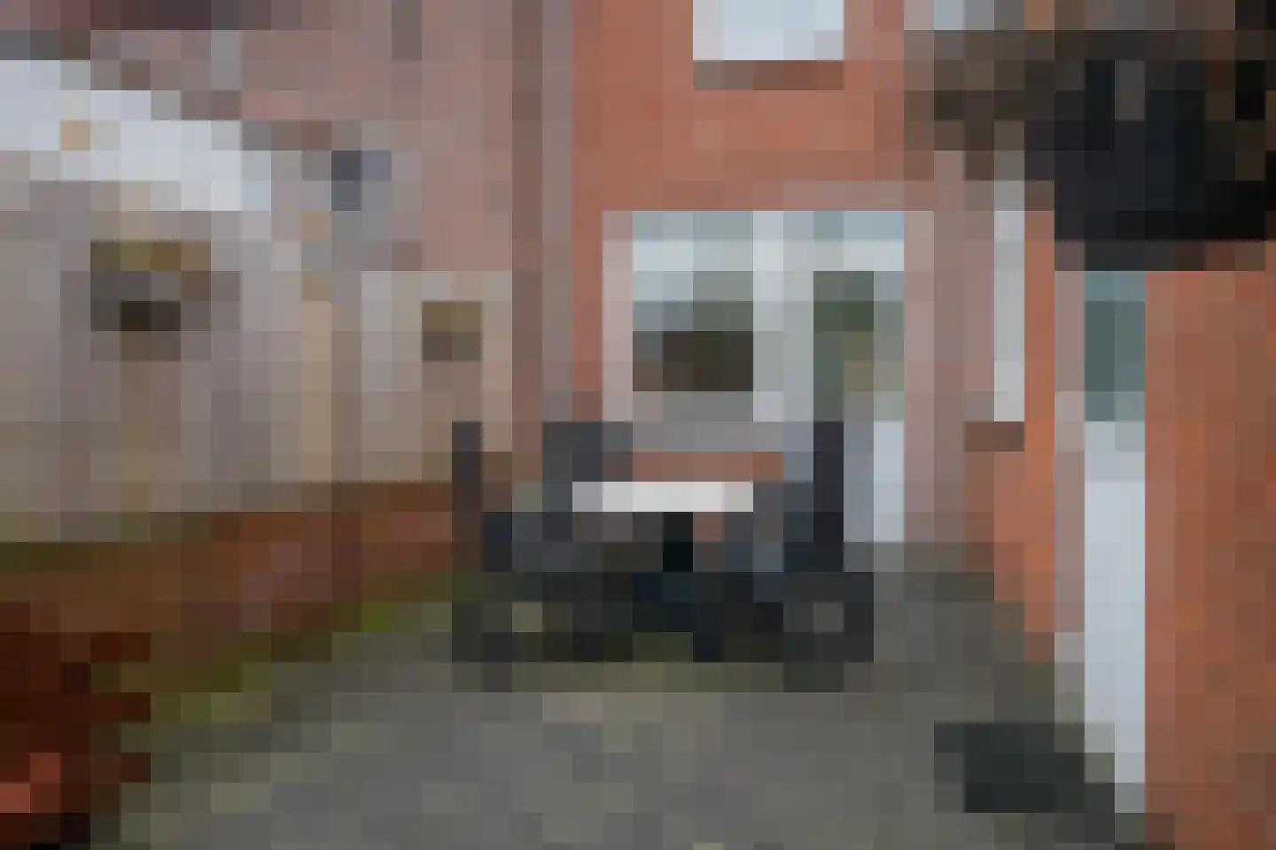 Engerstraat 12 Tegelen thumbnail 34