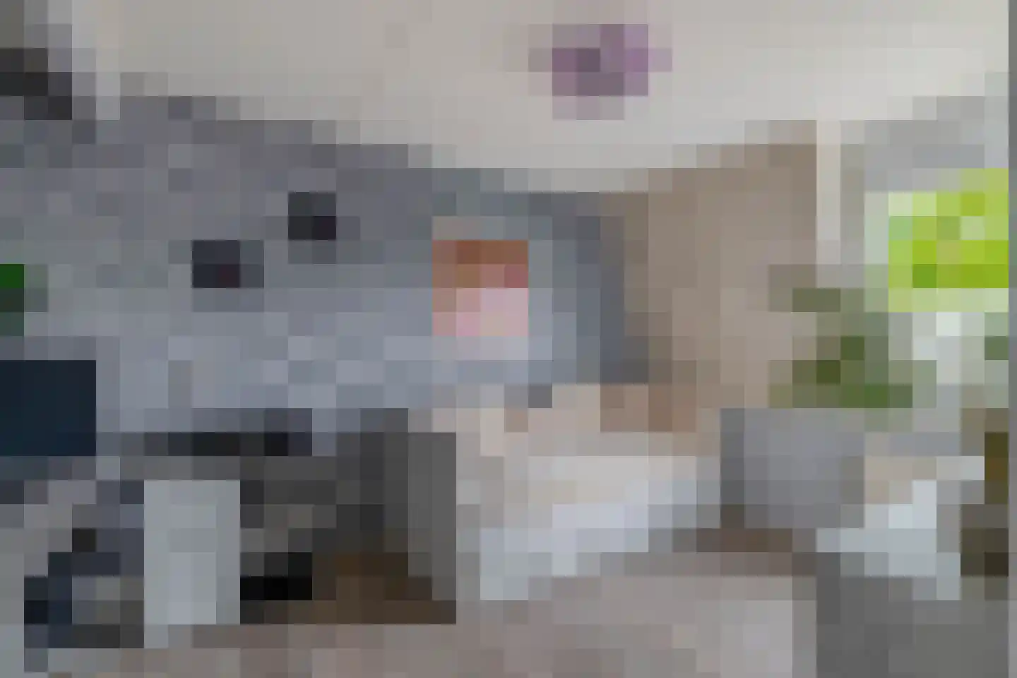 Engerstraat 31 Tegelen thumbnail 11