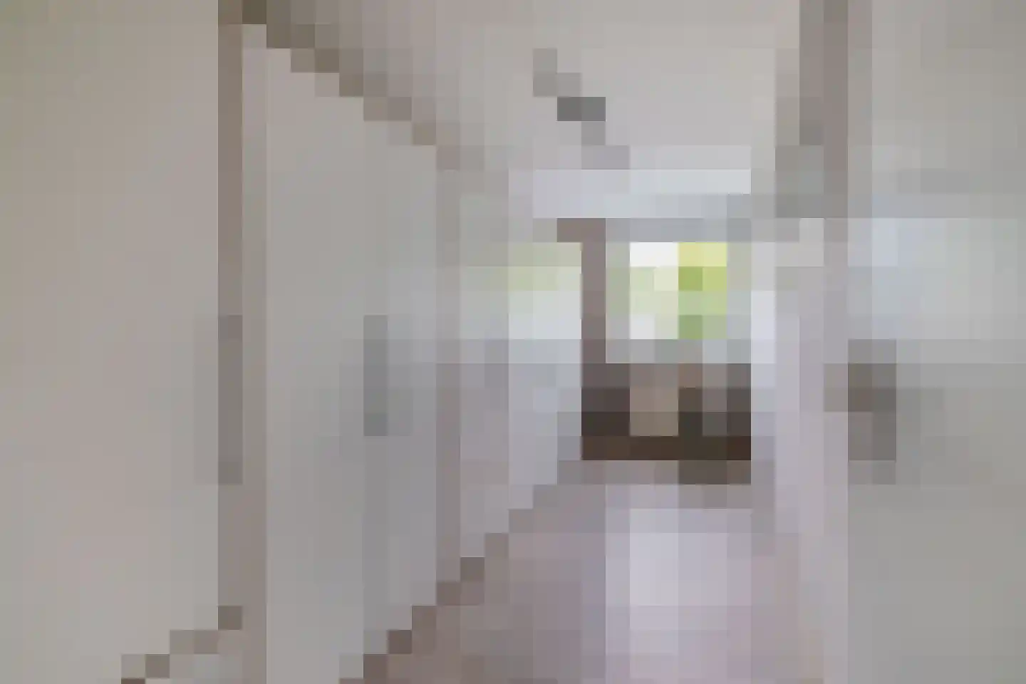 Engerstraat 31 Tegelen thumbnail 12