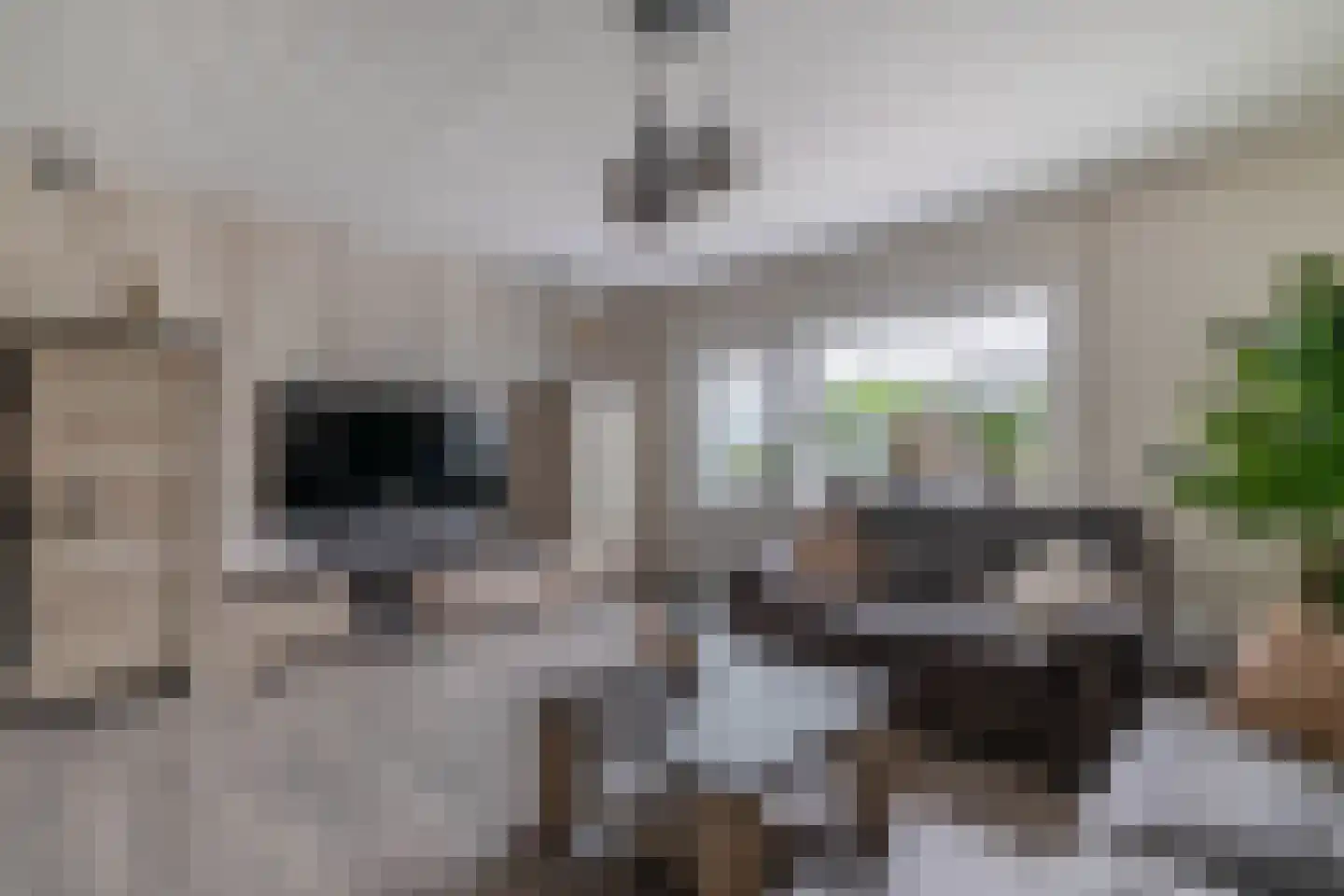 Engerstraat 31 Tegelen thumbnail 4