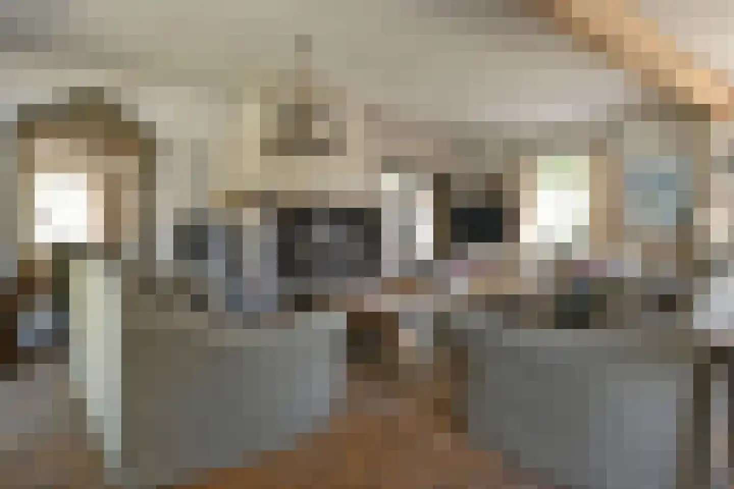 Engerstraat 4 Haler thumbnail 8