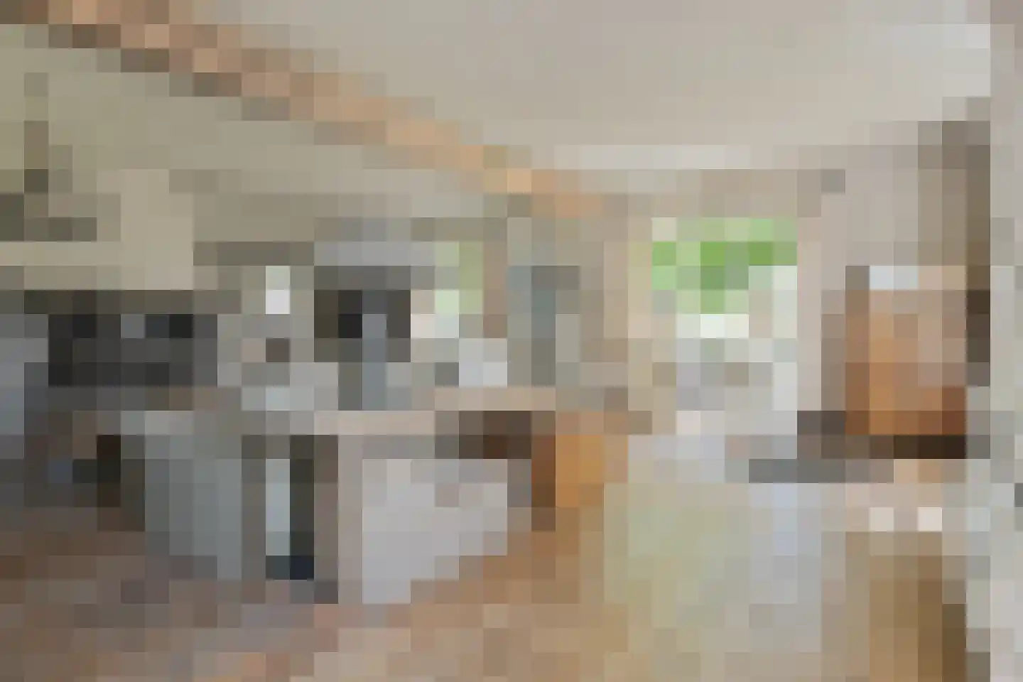 Engerstraat 4 Haler thumbnail 9