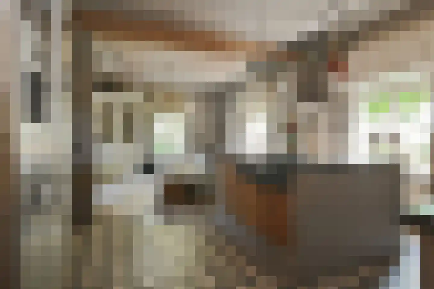 Engerstraat 4 Haler thumbnail 11