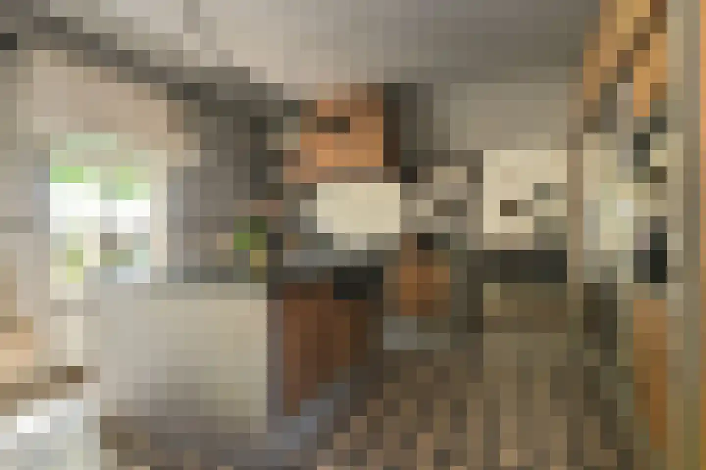 Engerstraat 4 Haler thumbnail 12