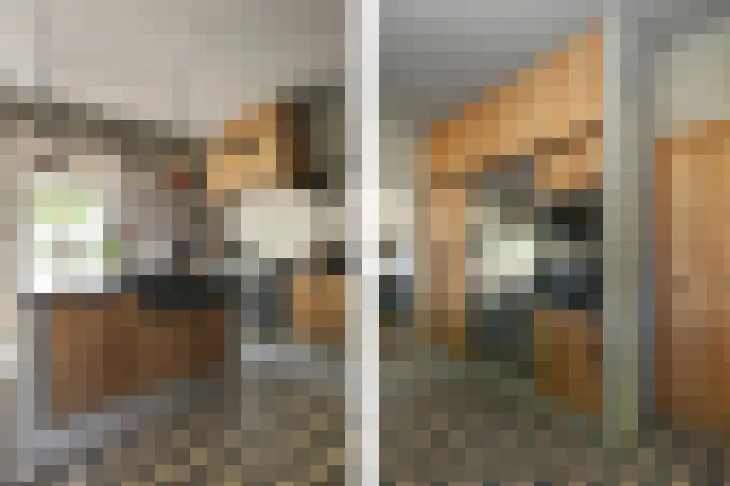 Engerstraat 4 Haler thumbnail 14