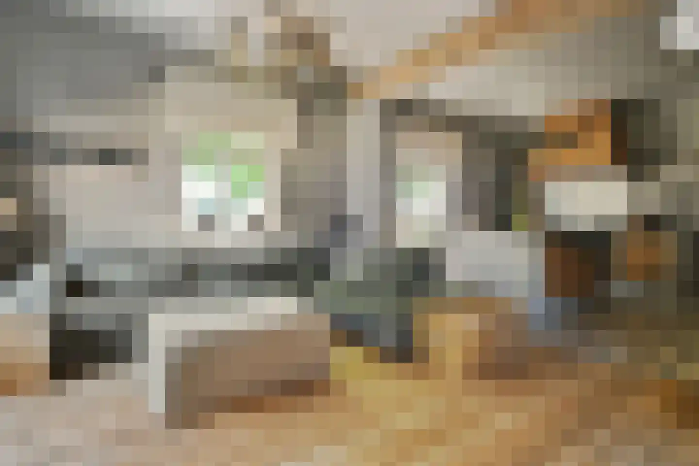 Engerstraat 4 Haler thumbnail 15