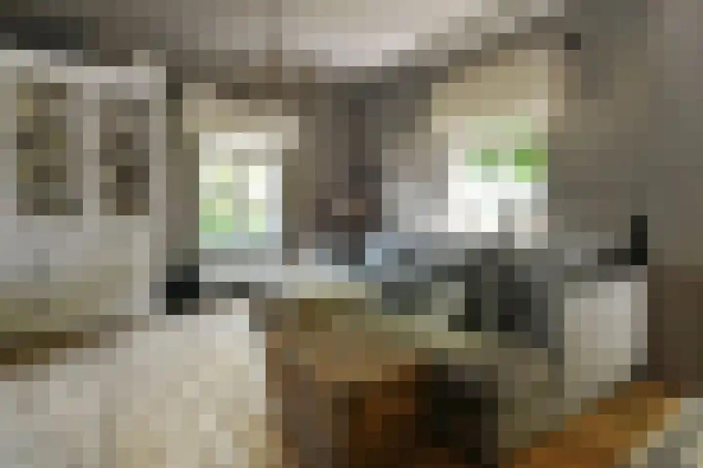 Engerstraat 4 Haler thumbnail 16