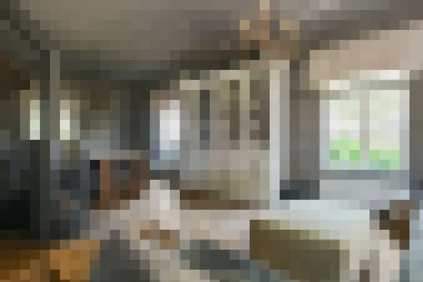 Engerstraat 4 Haler thumbnail 17