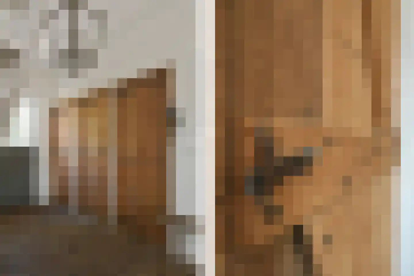Engerstraat 4 Haler thumbnail 19