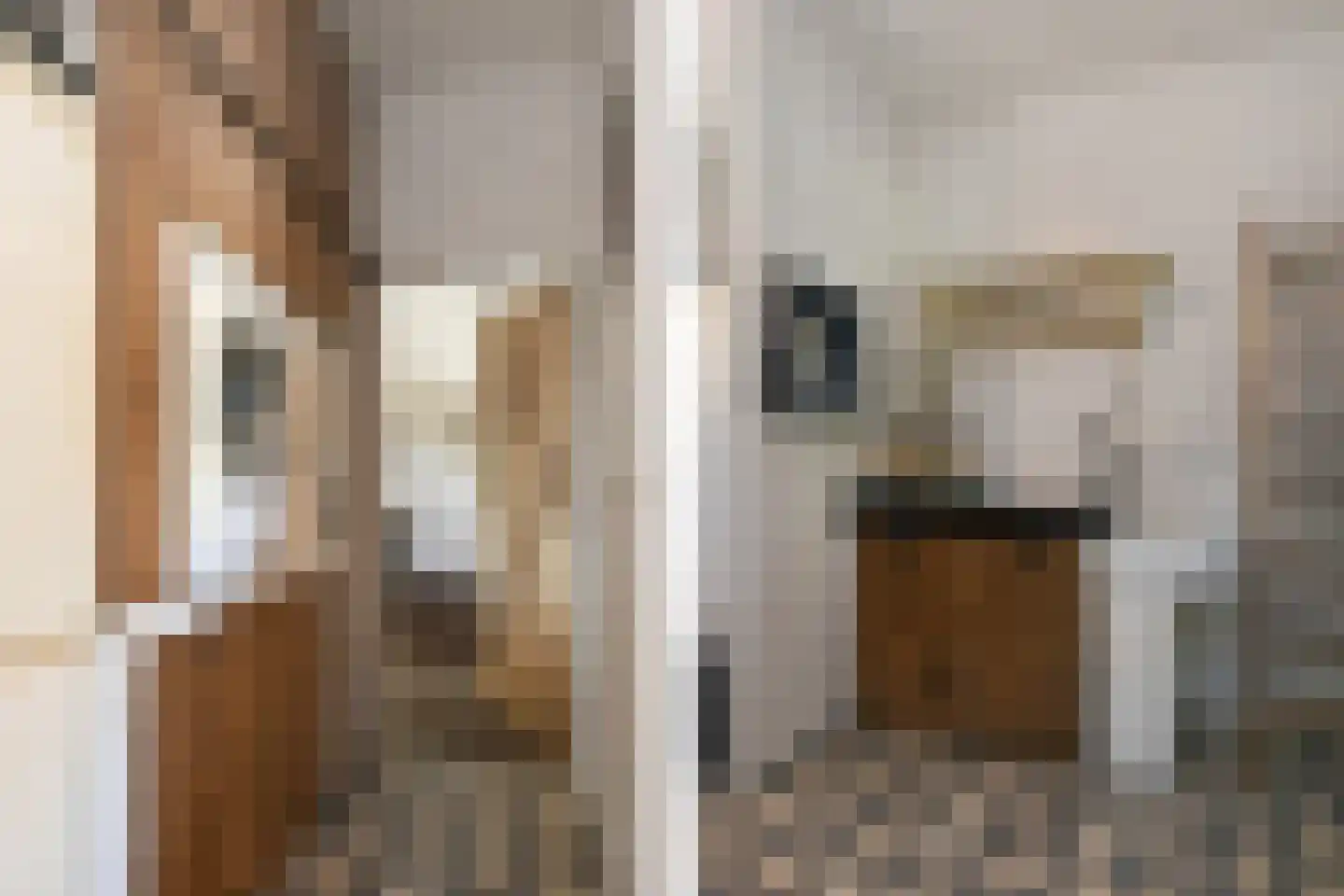Engerstraat 4 Haler thumbnail 20