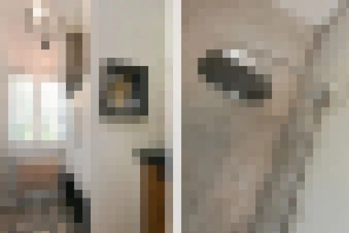 Engerstraat 4 Haler thumbnail 21