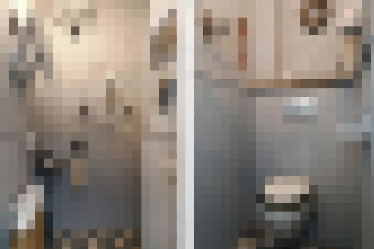 Engerstraat 4 Haler thumbnail 22