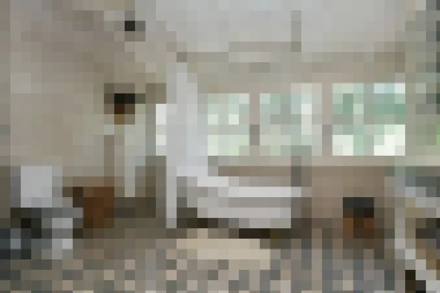 Engerstraat 4 Haler thumbnail 26