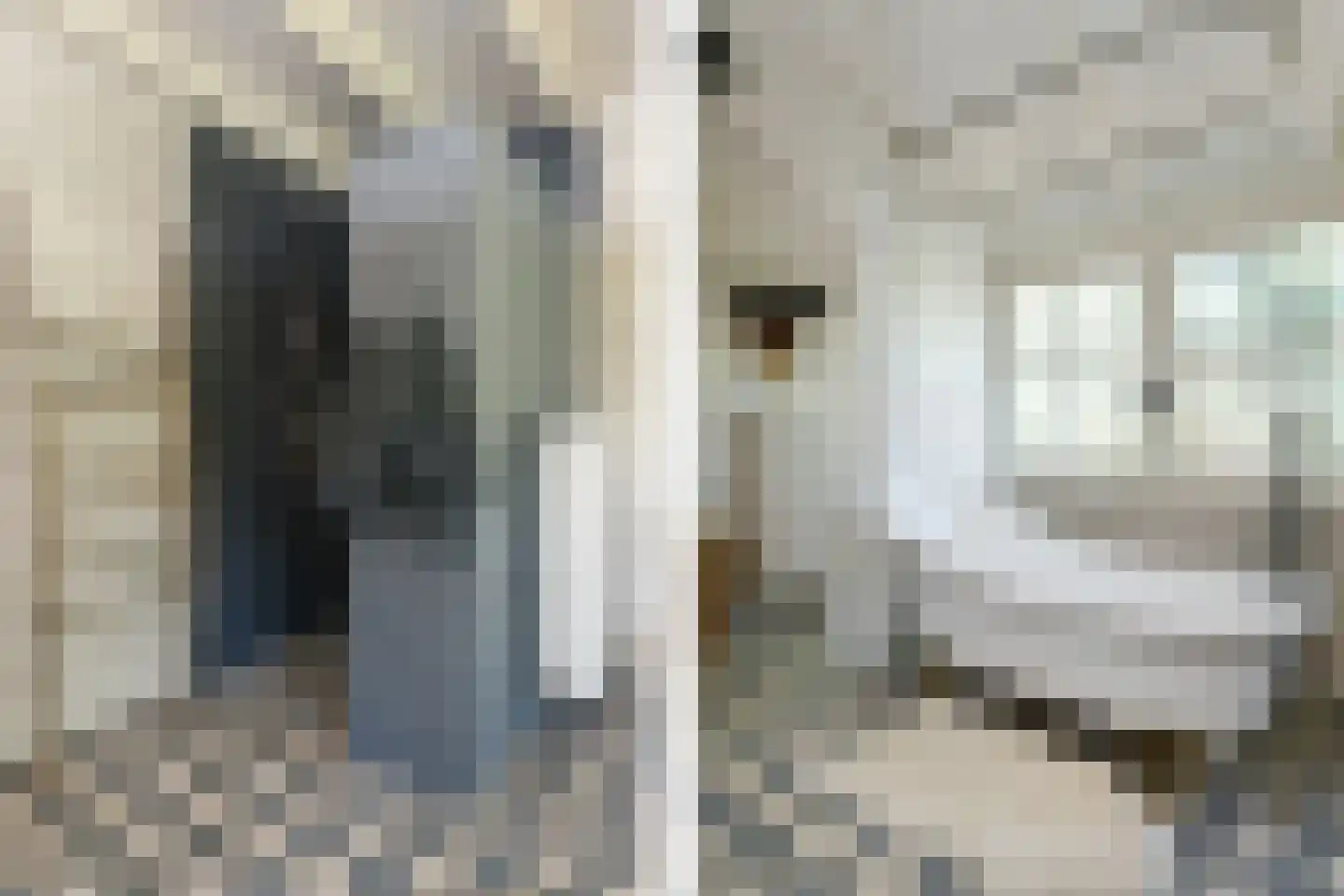 Engerstraat 4 Haler thumbnail 28