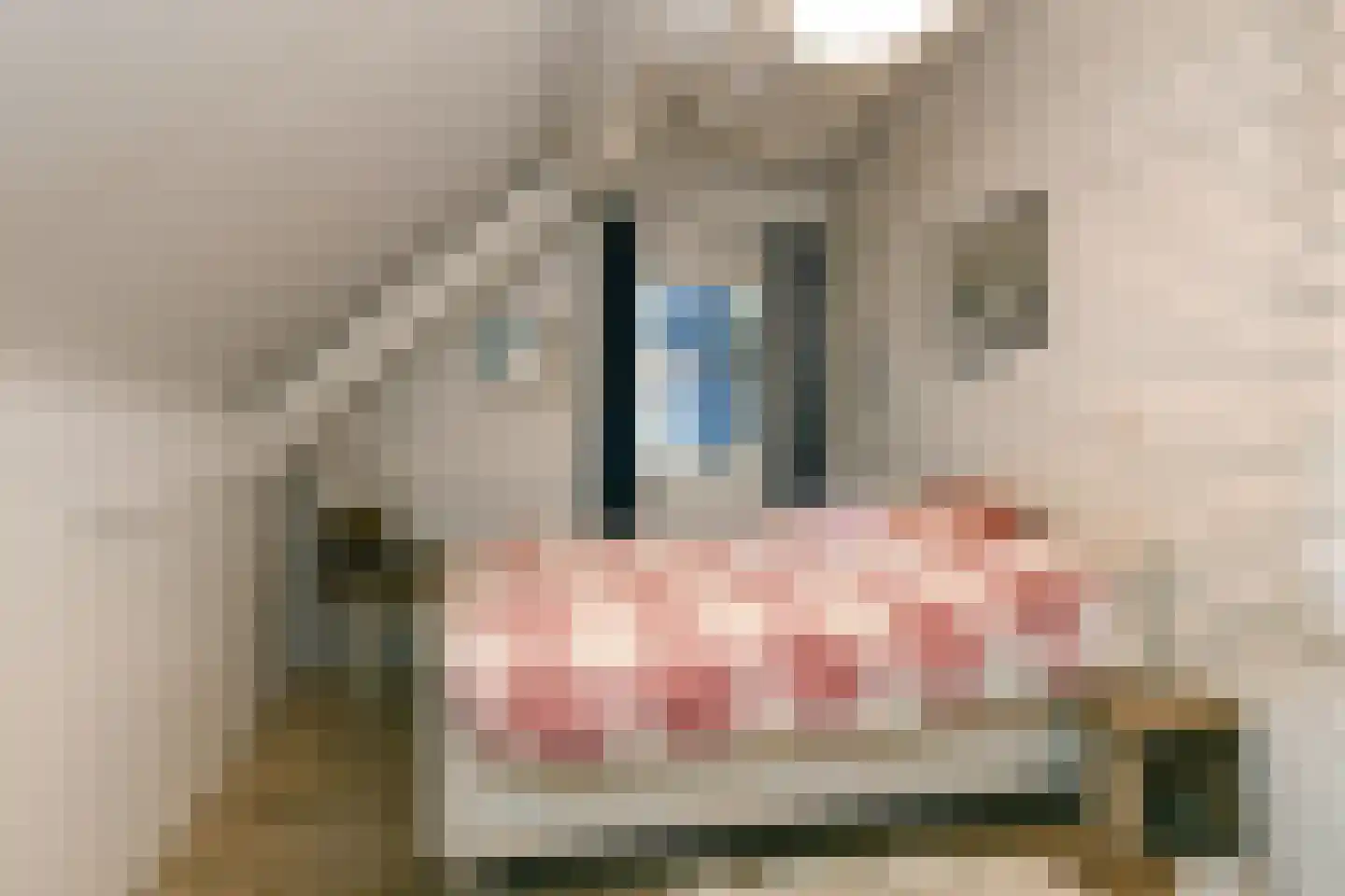 Engerstraat 4 Haler thumbnail 30