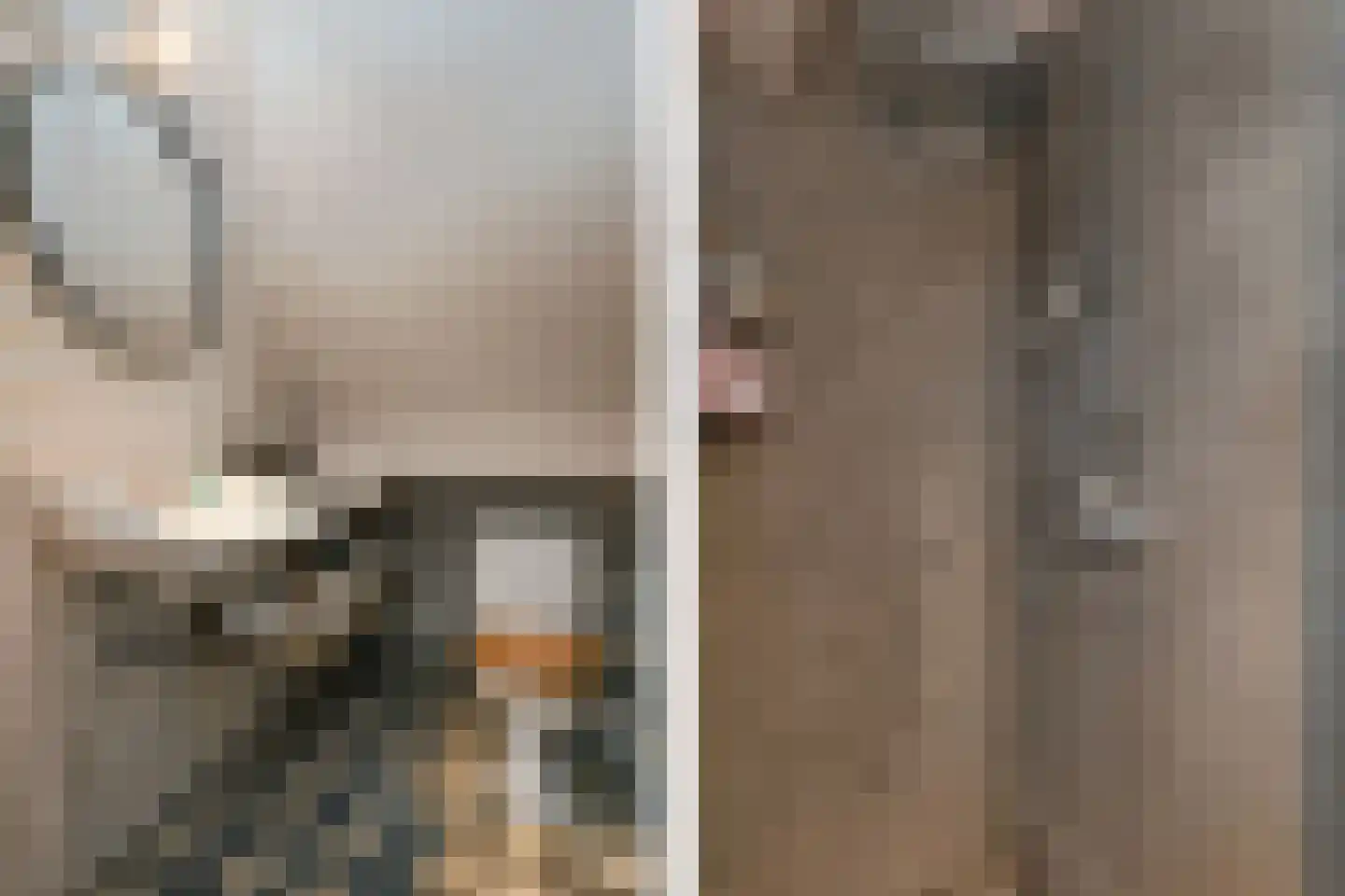 Engerstraat 4 Haler thumbnail 33