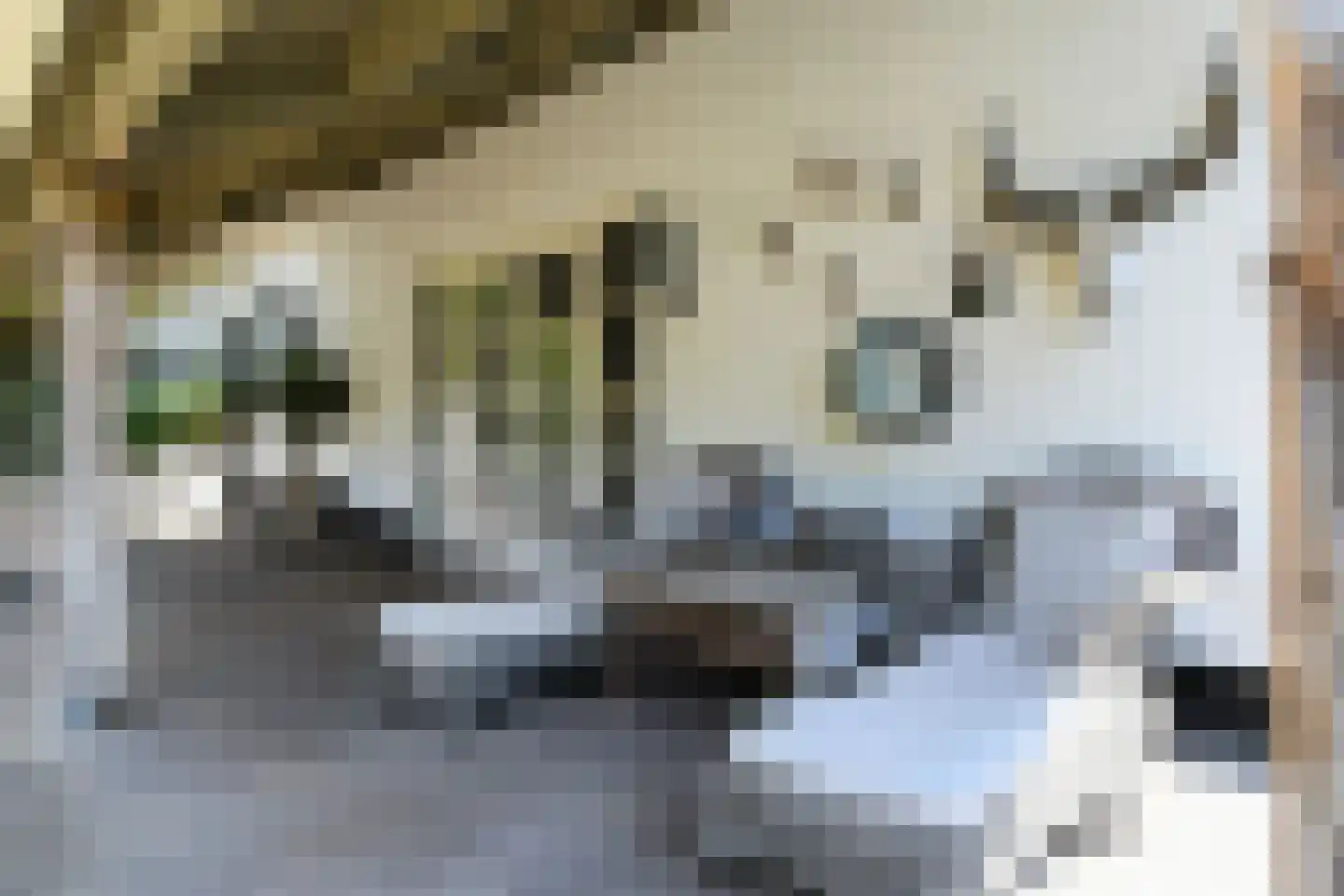 Engerstraat 4 Haler thumbnail 34