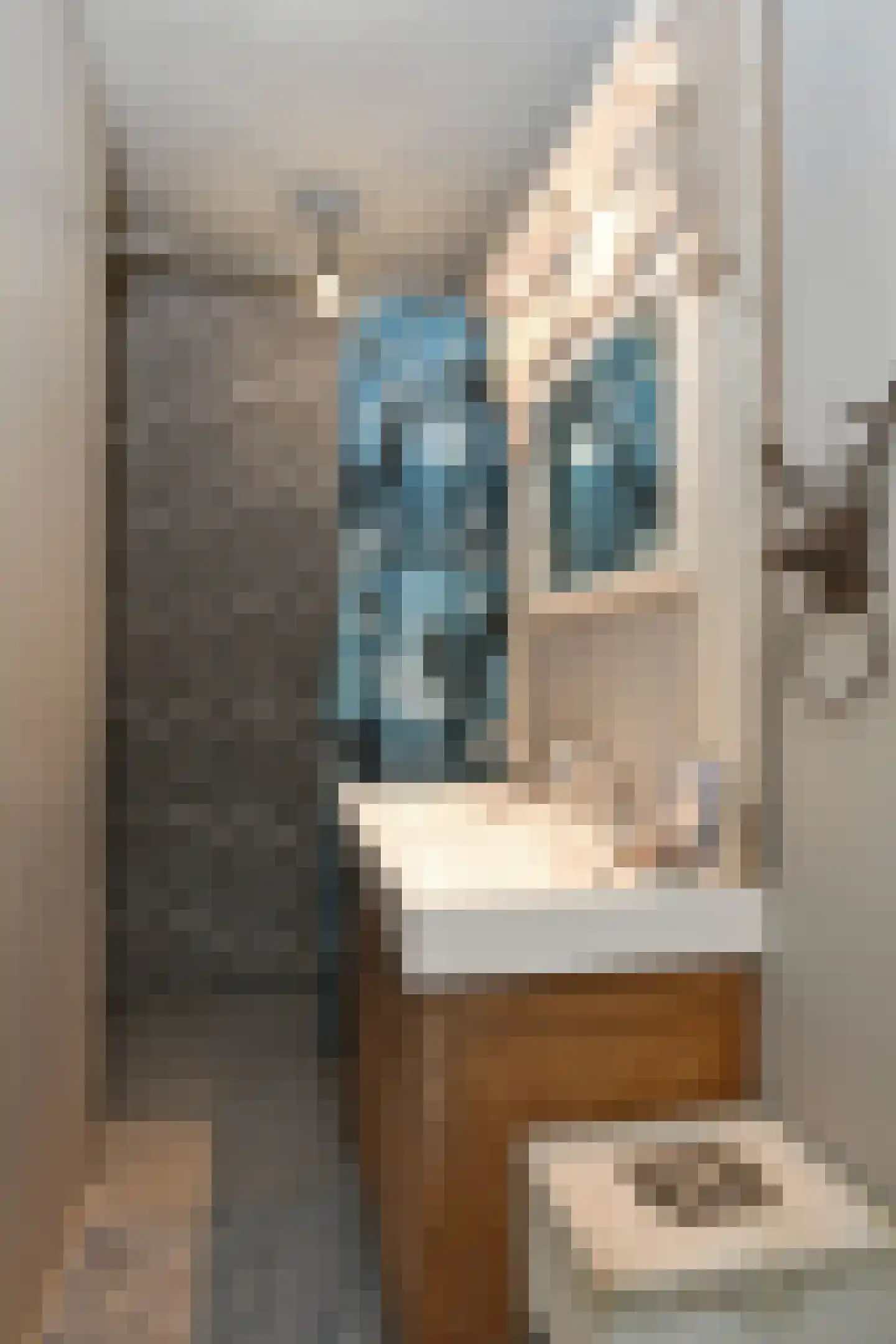 Engerstraat 4 Haler thumbnail 39