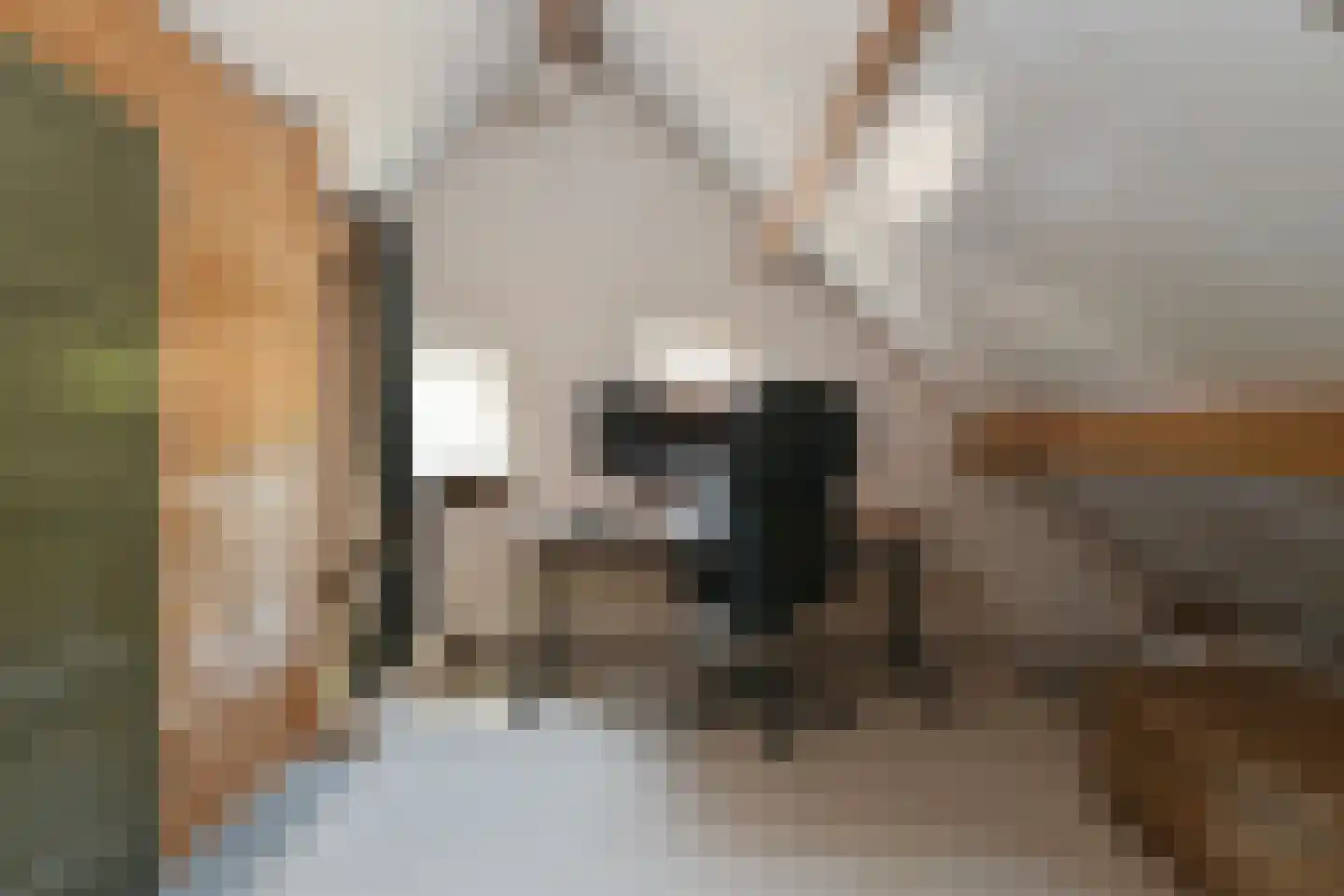 Engerstraat 4 Haler thumbnail 40