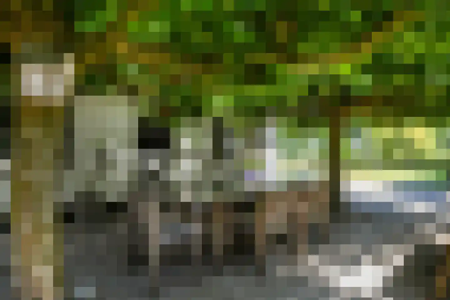 Engerstraat 4 Haler thumbnail 42