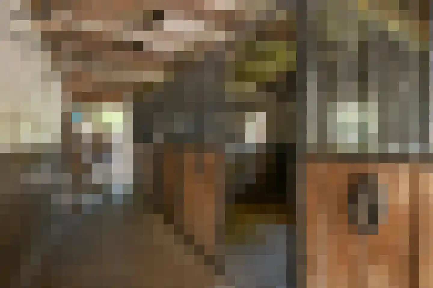 Engerstraat 4 Haler thumbnail 46