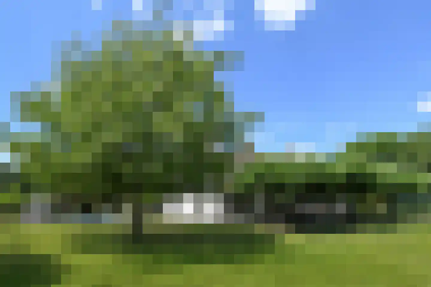 Engerstraat 4 Haler thumbnail 62