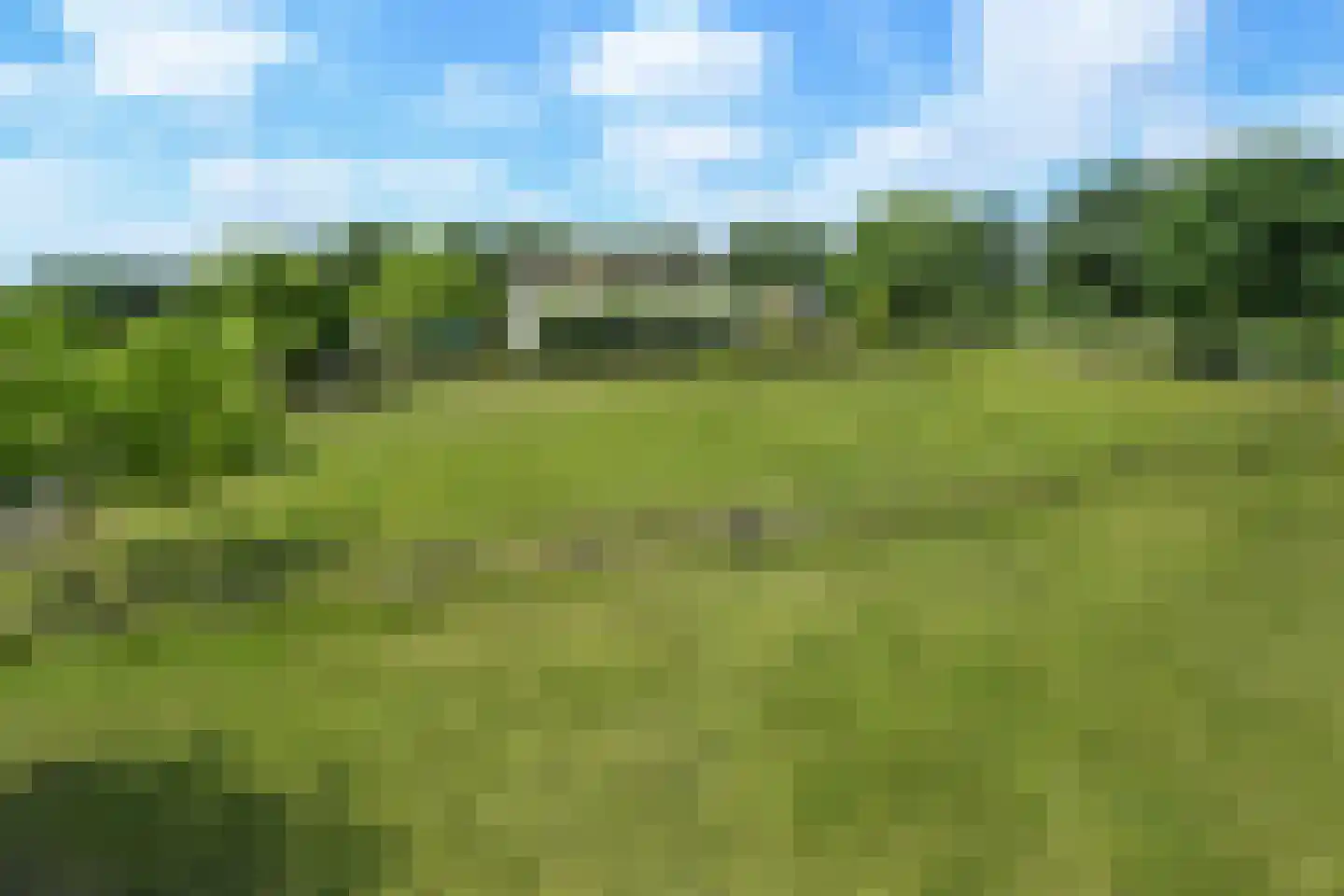 Engerstraat 4 Haler thumbnail 68