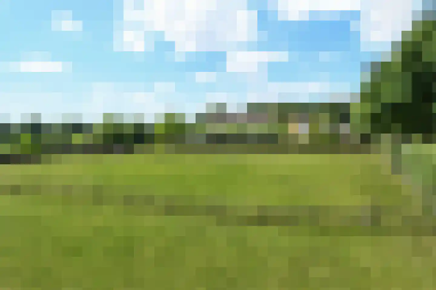 Engerstraat 4 Haler thumbnail 69