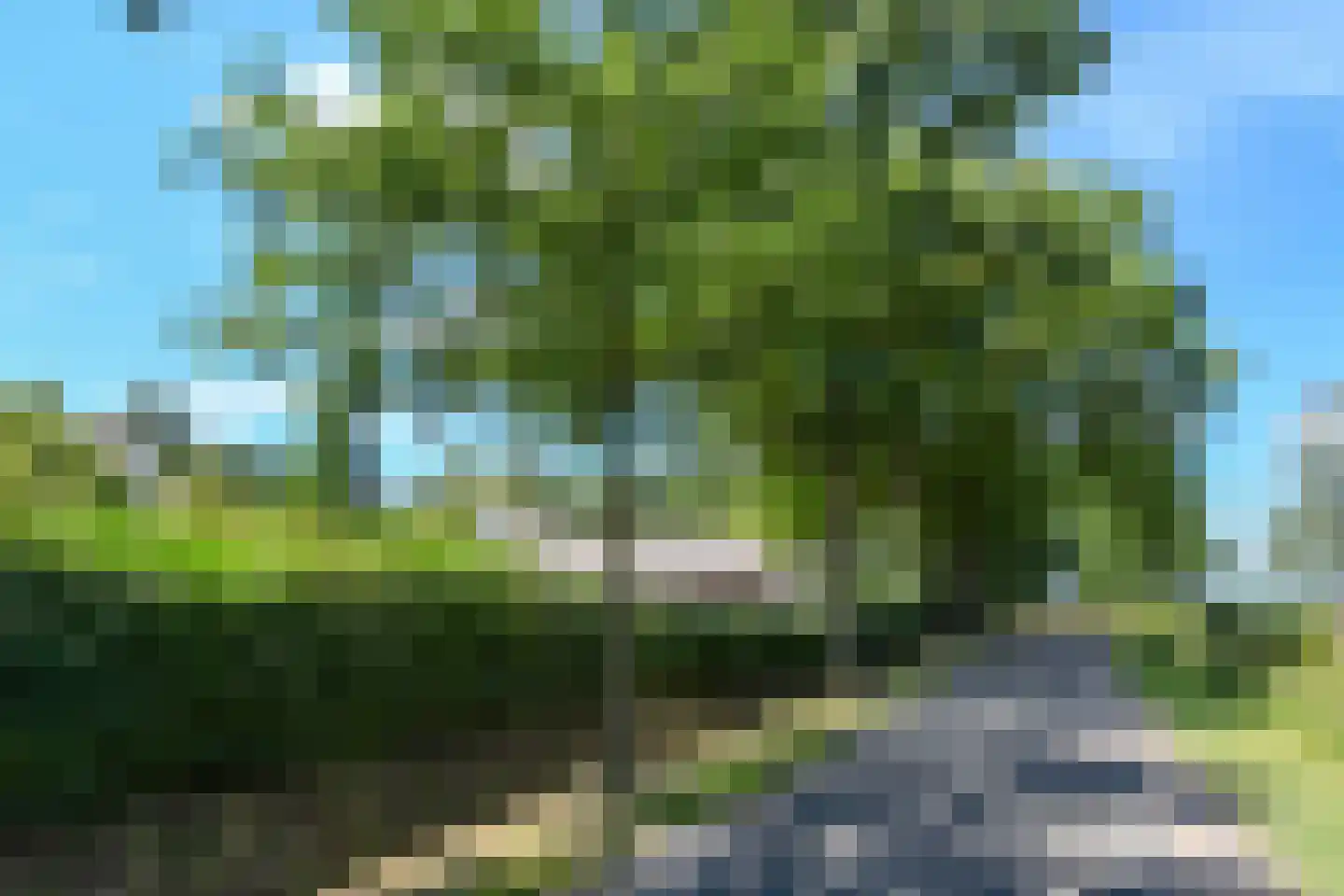 Engerstraat 4 Haler thumbnail 51