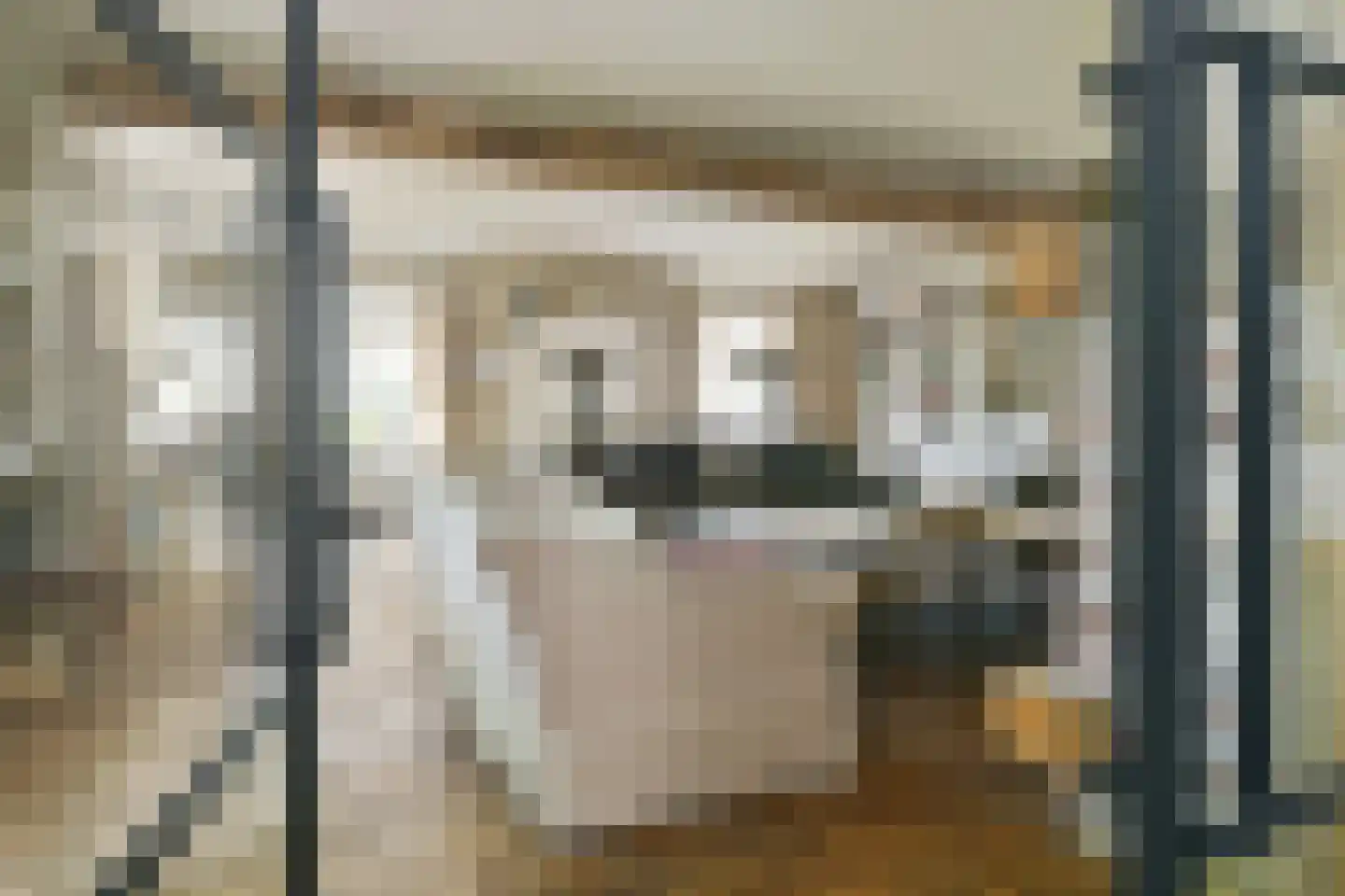 Engerstraat 4 Haler thumbnail 6