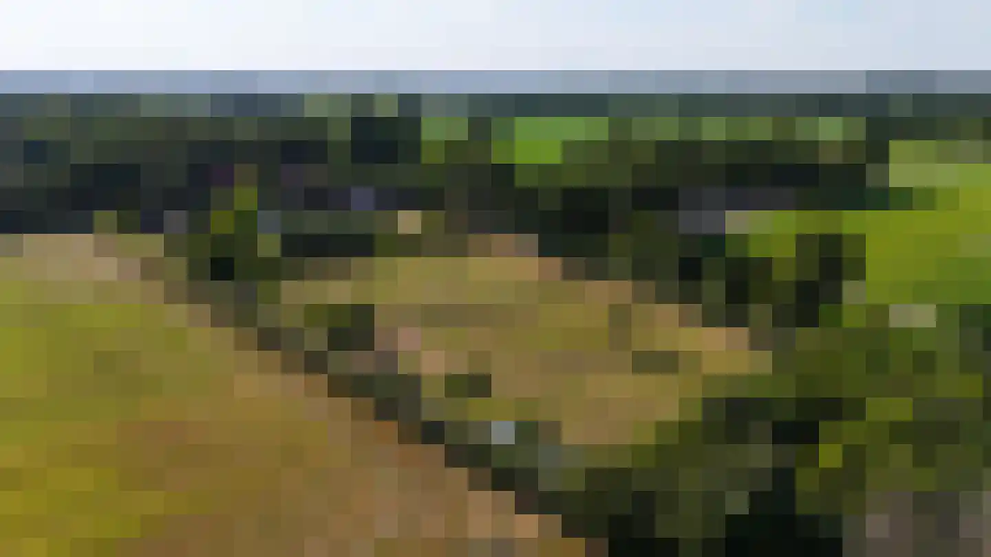 Engerstraat 4 Haler thumbnail 60