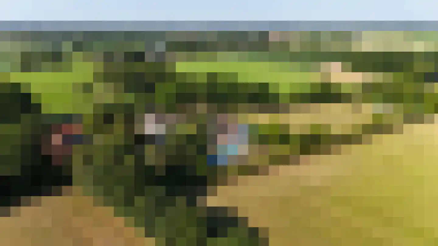 Engerstraat 4 Haler thumbnail 64