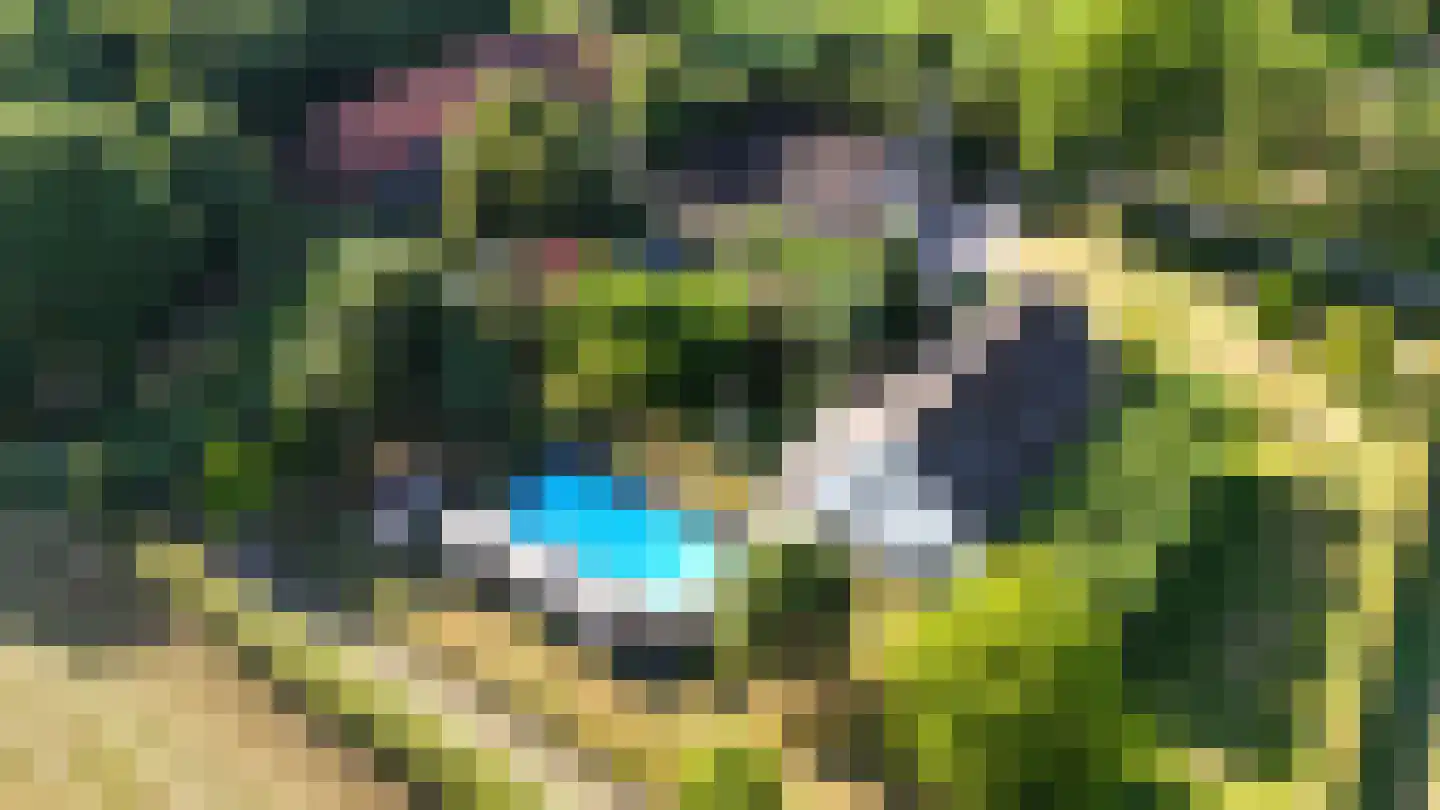 Engerstraat 4 Haler thumbnail 66