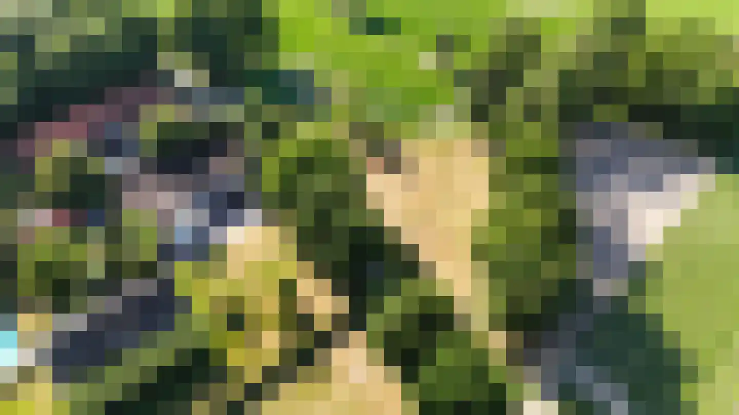 Engerstraat 4 Haler thumbnail 67