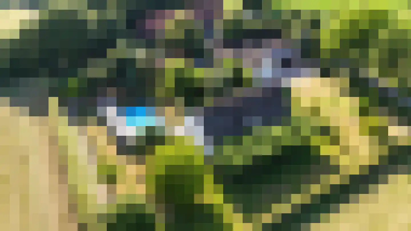 Engerstraat 4 Haler thumbnail 68