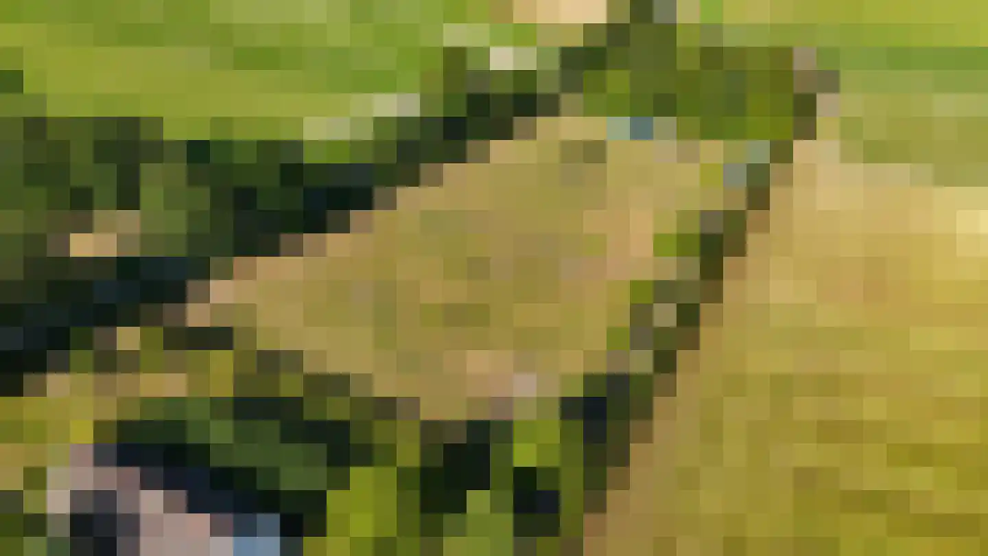 Engerstraat 4 Haler thumbnail 69