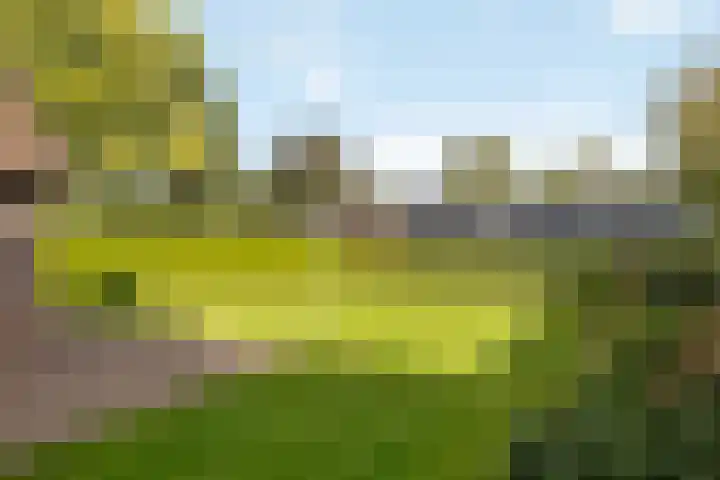 Engeweg 6 Wijhe thumbnail 10