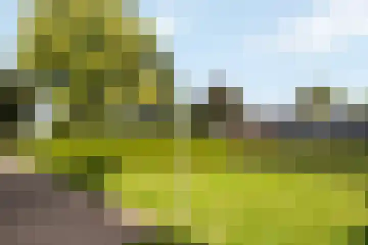 Engeweg 6 Wijhe thumbnail 11