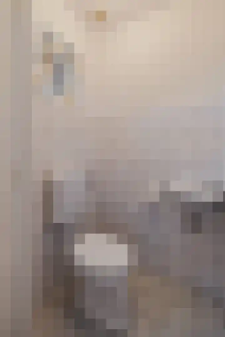 Engeweg 6 Wijhe thumbnail 20